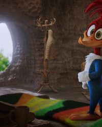 Chim Gõ Kiến Woody