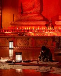 Ám thuật: Xác sống săn mồi