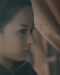 Bảo Vệ Hoàng Gia Zhan Zhao