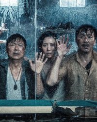 Biển Động Cá Sấu Điên