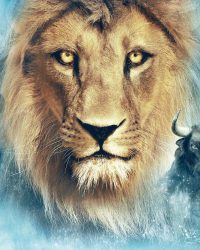 Biên Niên Sử Narnia: Hành Trình Trên Tàu Dawn Treader