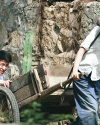 Chuyện Tình Cây Táo Gai