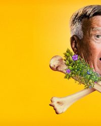 Dick Johnson Đã Chết