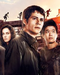 Giải Mã Mê Cung: Thử Nghiệm Đất Cháy