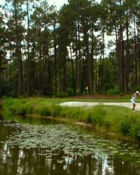 Golf thủ nhí