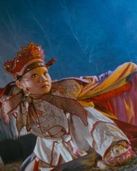 Hoàng Phi Hồng 4: Phong Tứ Vương
