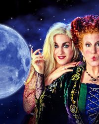 Hocus Pocus