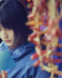 Khu Rừng Nhỏ – Hạ/Thu