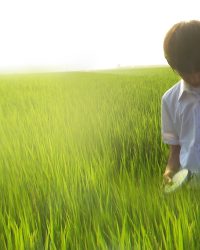 Khúc Cầu Siêu Của Tuổi Trẻ