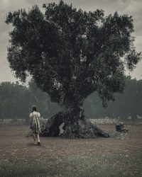 Liên Kết Ma Quái