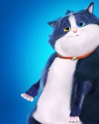 Mèo Mập Mang 10 Mạng
