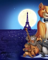 Mèo Quý Tộc