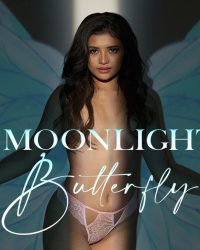 Moonlight Butterfly