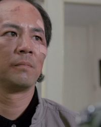 Nghĩa Đảm Hồng Thần