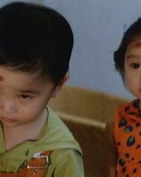 Tái Thế Truy Hồn