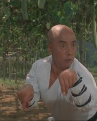 Thiếu Lâm Tự 3: Nam Bắc Thiếu Lâm