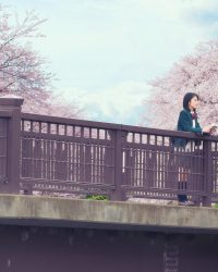 Tớ Muốn Ăn Tụy Của Cậu