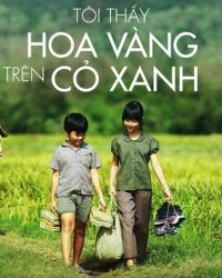 Tôi Thấy Hoa Vàng Trên Cỏ Xanh