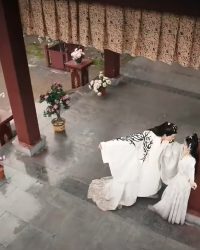 Trái Tim Hoàng Phi