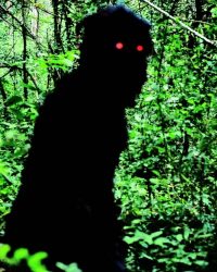 Uncle Boonmee Who Can Recall His Past Lives