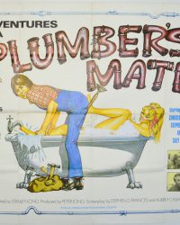 Adventures Of A Plumber’s Mate