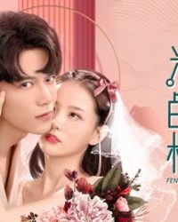Anh Đào Màu Hồng Và Đại Miên Vương