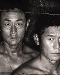 Biệt Đội Ám Sát