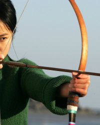 Cánh Cung