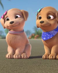 Chị Em Barbie Đuổi Theo Các Chú Cún