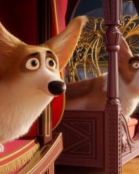 Corgi: Những Chú Chó Hoàng Gia