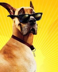 Marmaduke: Khuấy Động Mùa Hè