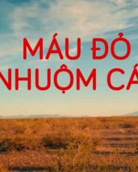 Máu Đỏ Nhuộm Cát