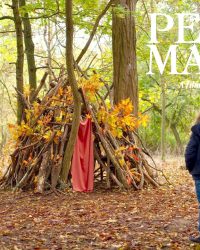Petite Maman