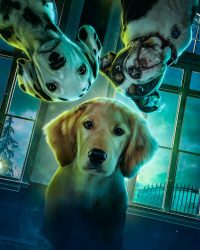 Phantom Pups (Phần 1)