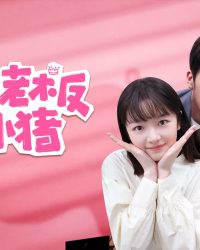 Sếp Của Tôi Là Chú Lợn Nhỏ