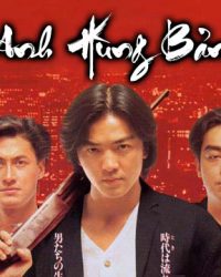 Tân Anh Hùng Bản Sắc