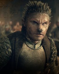The Witcher Bestiary Season 1, Part 1