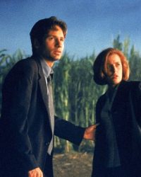 The X Files