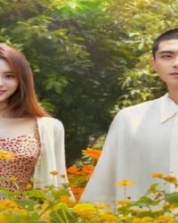 Tiên Sinh Ẩn Cư Yêu Dấu