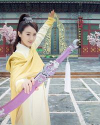 Truyền Thuyết Phi Đao