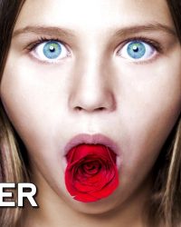 Under The Rose