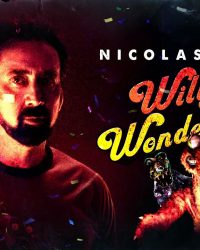 Xứ Sở Diệu Kỳ Của Willy