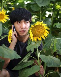 Yêu Phải Nàng Lắm Chiêu