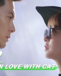 Yêu Phải Nàng Meo Tinh